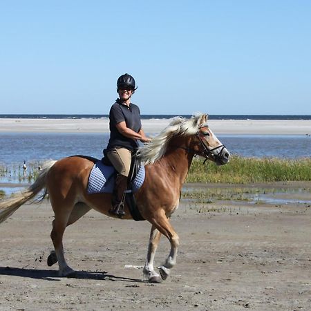 Naar Zee Op Ameland Buren  Exteriér fotografie